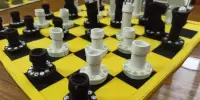 Районный шахматно-шашечный турнир "Дебют"