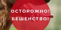 28 сентября всемирный день борьбы против бешенства