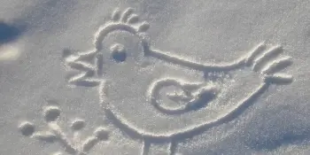 День рисунков на снегу!